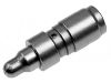 Valve Tappet:1 025 392